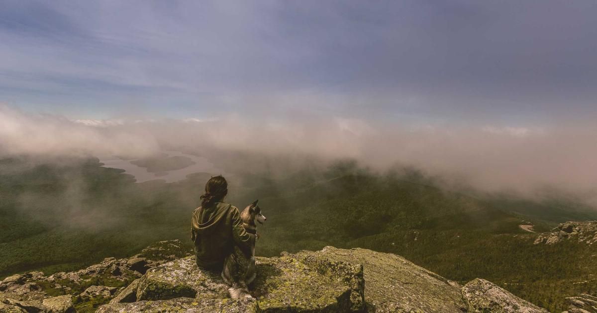 Solena Therapeutics (SLNO) Stock: High-Risk Biotech Play Faces Pressure