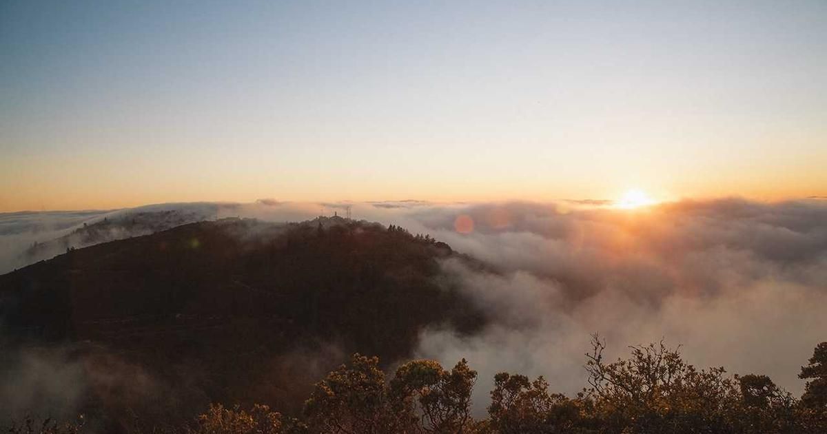 Tech & Healthcare Stocks Mixed 2024: Nvidia Shines, Google Slips