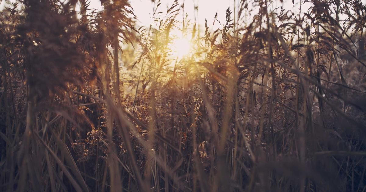 Global-E Stock Surges 17% as E-Commerce Enabler Posts Surprise Profit