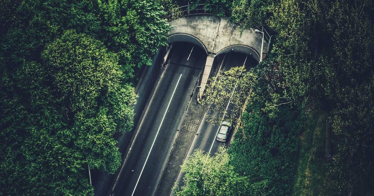 Bicara Therapeutics Raises $150M at $16/Share in Key Biotech Test