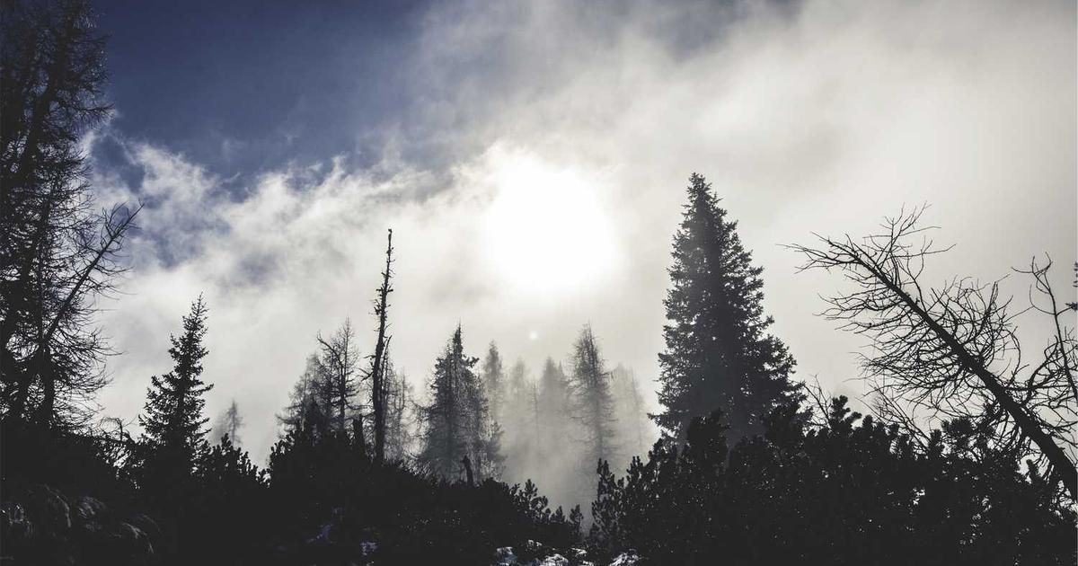 Coinbase's 2026 Strategy: Stablecoins, Base & 'Everything Exchange'