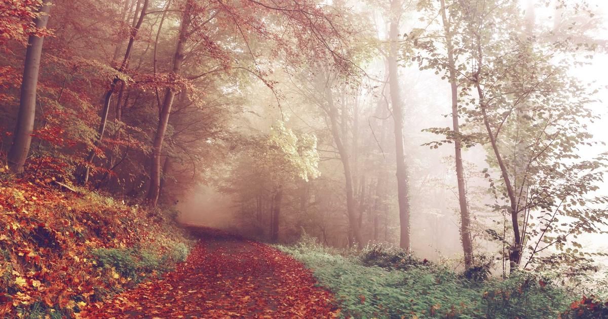 Trump's $5B Gaza Pledge Sparks Market Scrutiny Over Geopolitical Risk