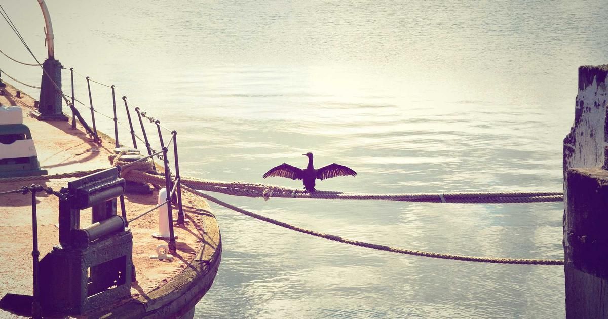 White House Pushes Banks on Stablecoin Deal, Signaling Major Crypto Policy Shift