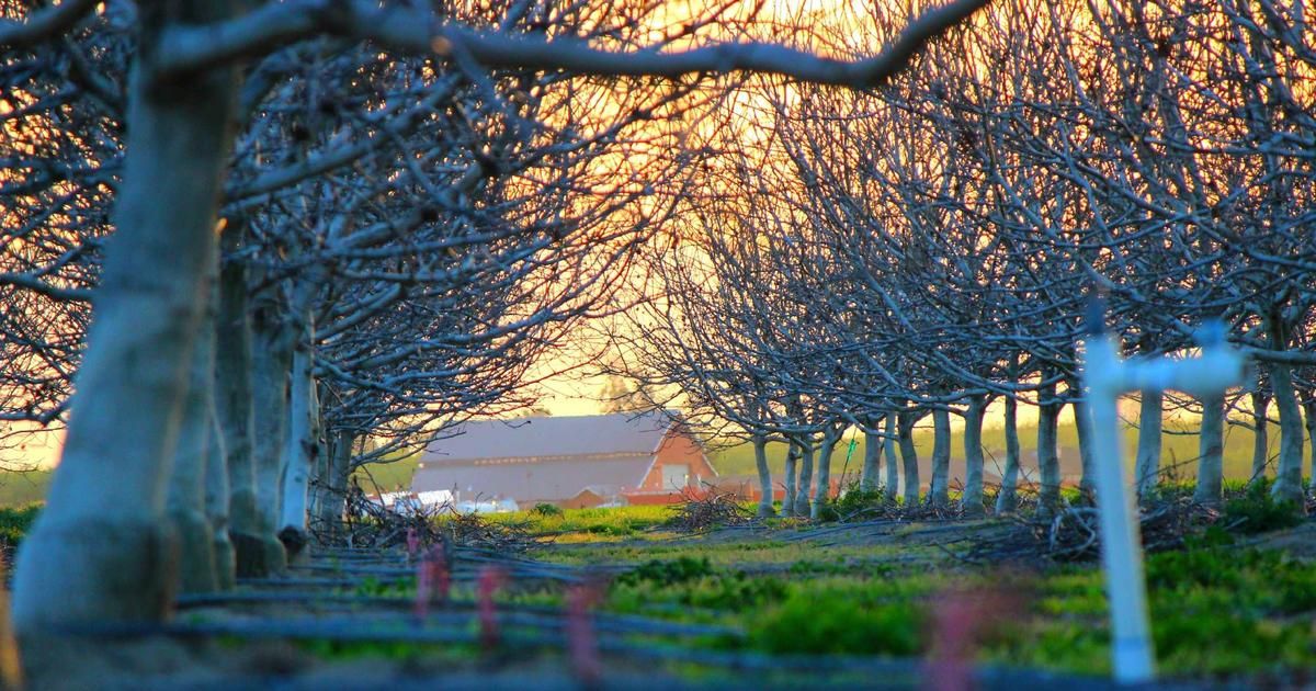 Bitcoin's Fear Unlocked as Rate Hike Bets Rise and Bond Markets Crumble