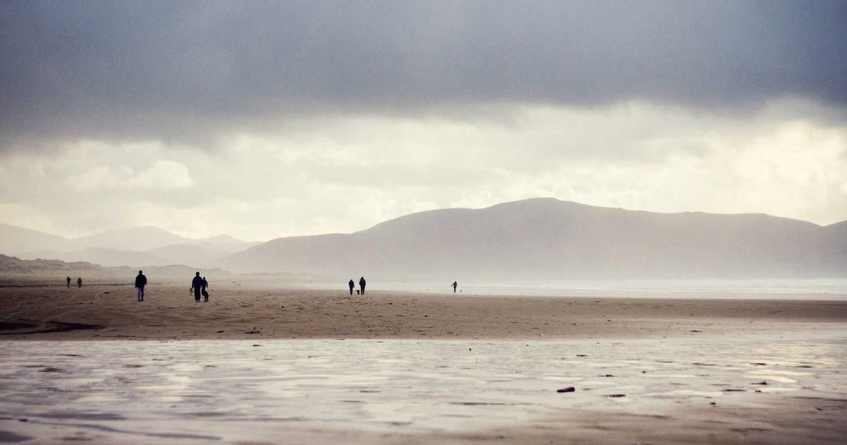 MetaVia Reports Strong Cash Balance & Zero Debt in 2024