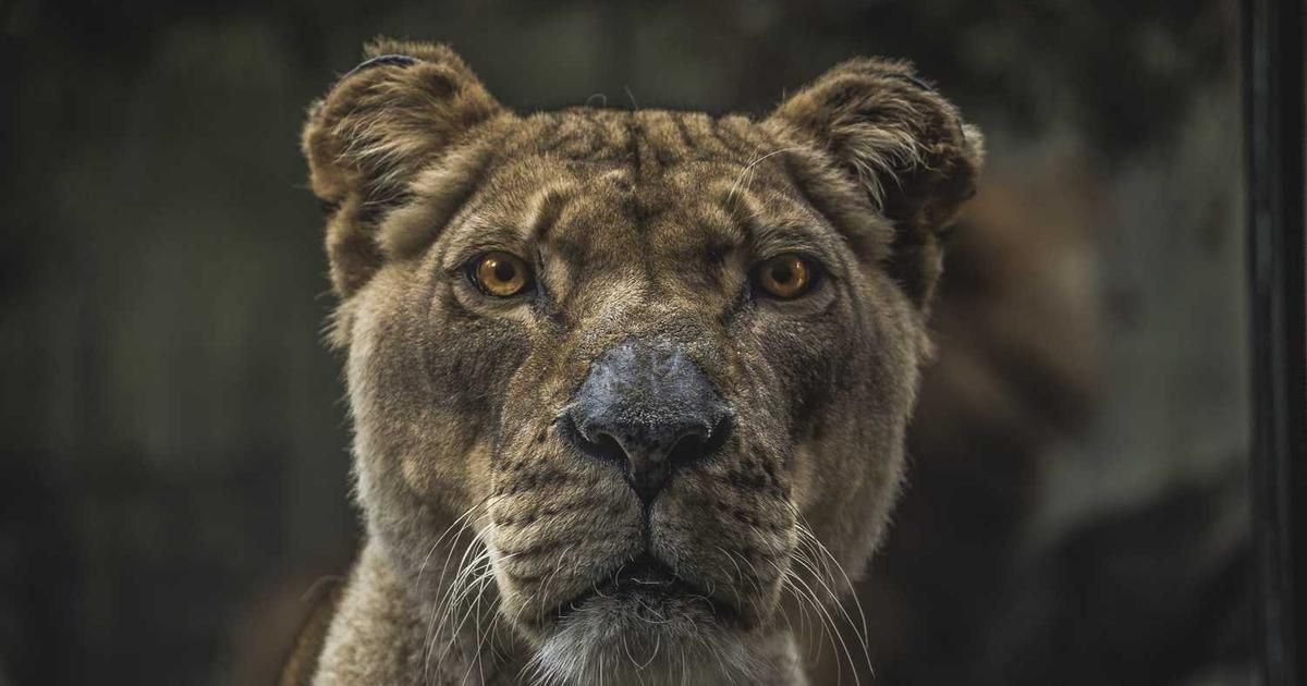 Mid Penn Bancorp Director Buys $2,481 in Stock: Bullish Signal?