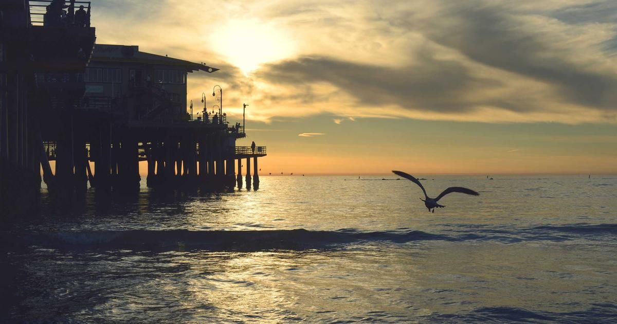 Japan's Top Wealth Manager Retreats from Crypto After Quarterly Losses