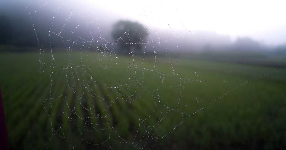 Bitcoin Price Analysis 2024: $90K Breakout or Rejection Ahead?