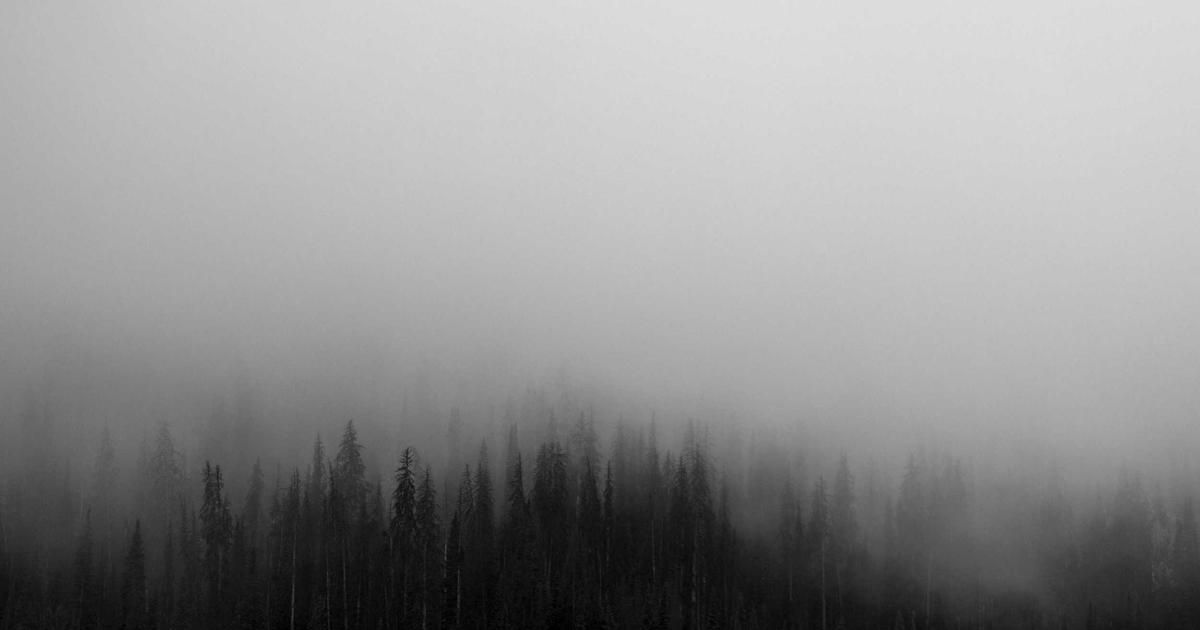 Alphabet Stock Dips 8%: Is This a Buying Opportunity or a Warning Sign?