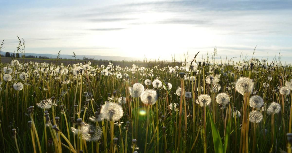 Grayscale's $6.5B Bitcoin Loss: Why the GBTC Premium Defies Logic