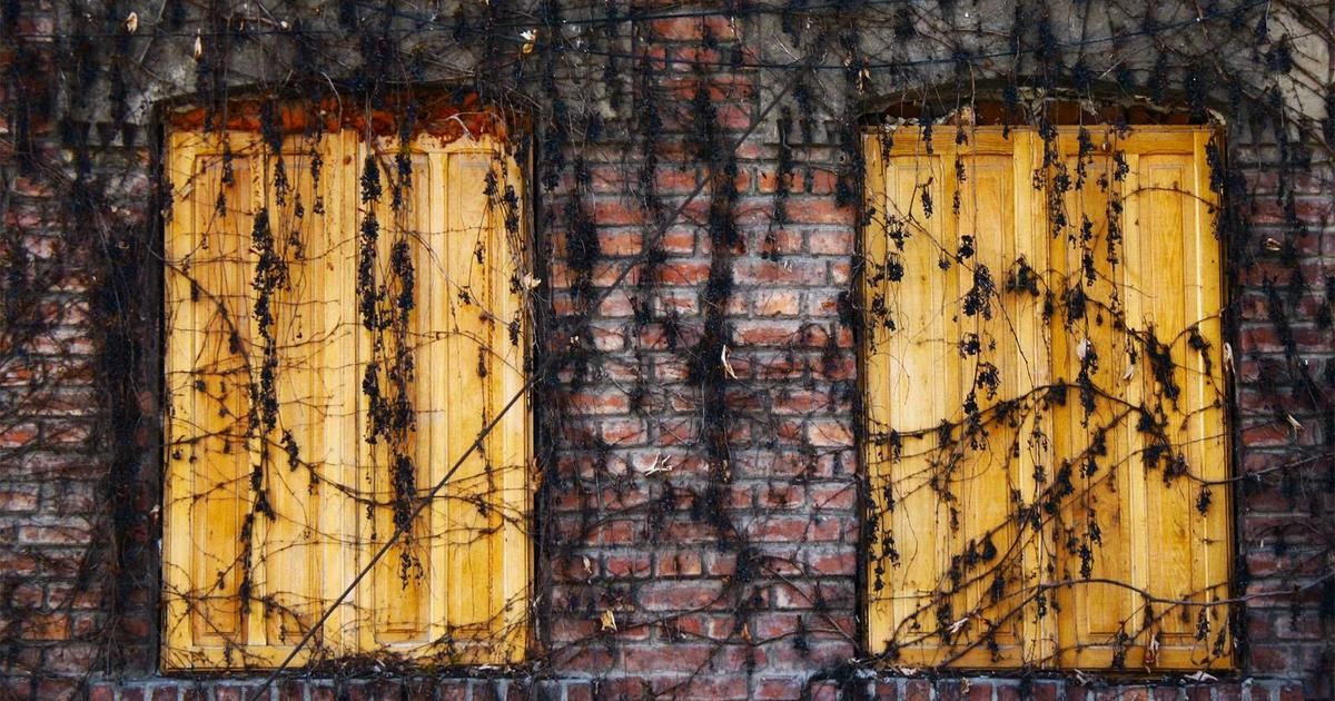 Jim Cramer's Tesla Endorsement Sparks Debate on EV Giant's Future