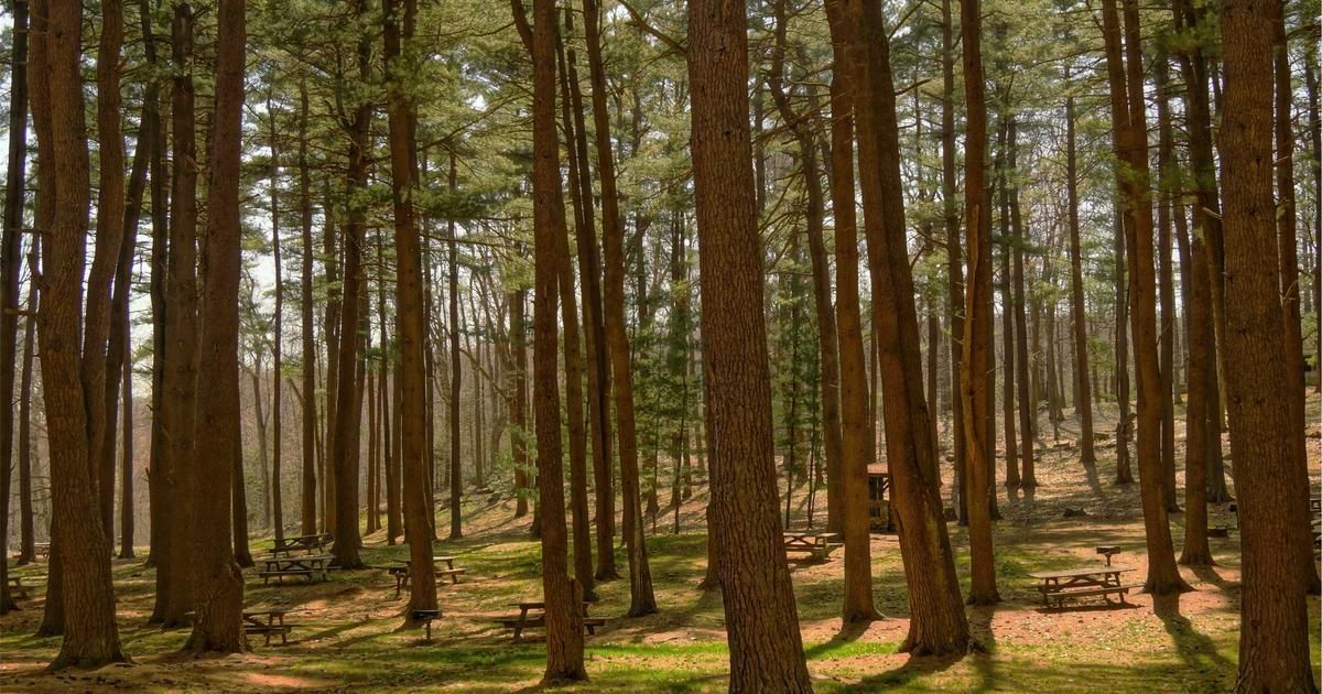 Rio Tinto's Stable Q4 Earnings Mask Deeper Market Jitters, Stock Dips