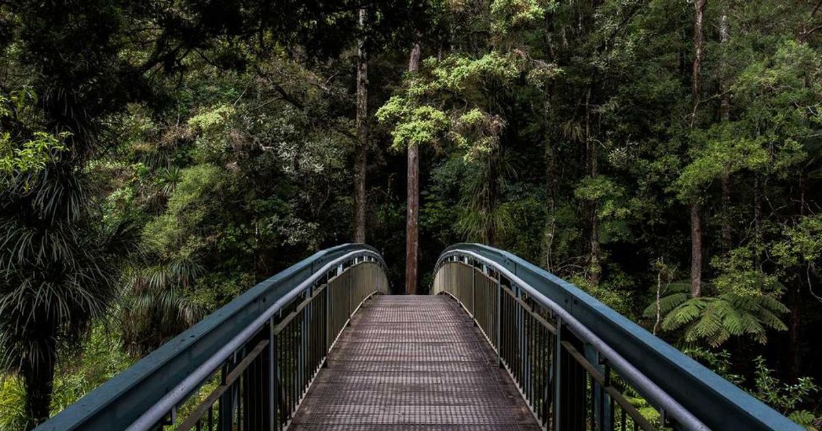 Emerging Markets to Lead RWA Tokenization in 2026: Analysis