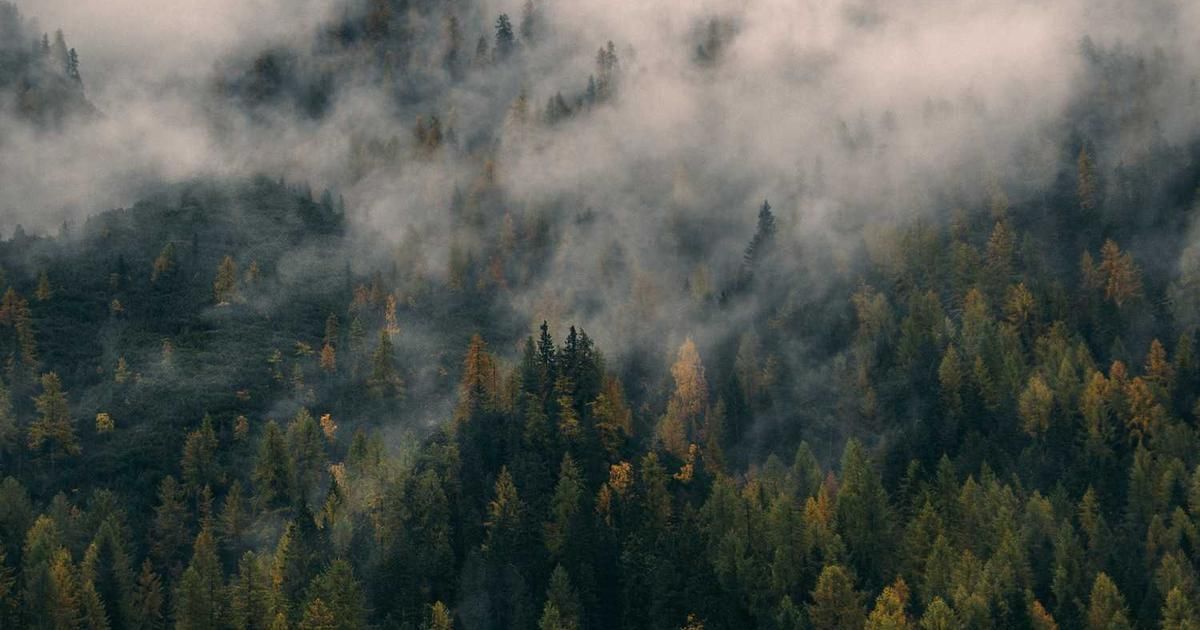 How AI Will Revolutionize Financial Markets in 2024