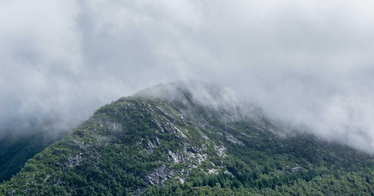 WBI Sells $2.6M in VFLO: Should You Hold This Cash Flow ETF?