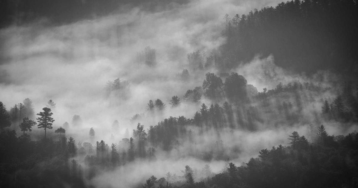 VTI vs. SPY: Which ETF Wins for 2024? A Deep Dive on Costs, Exposure, and Risk