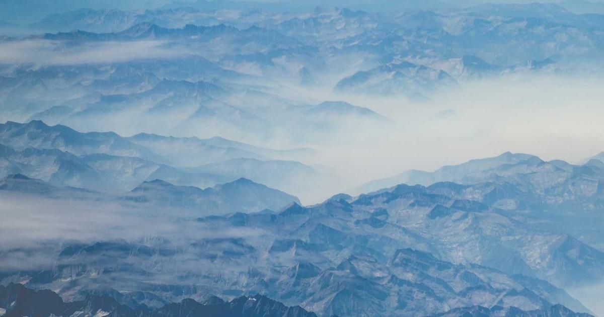 Establishment Labs Q4: Aesthetic Device Maker Navigates Turbulent Recovery