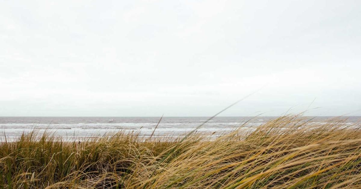 VTI vs SCHB: Total Stock Market ETF Showdown for 2024