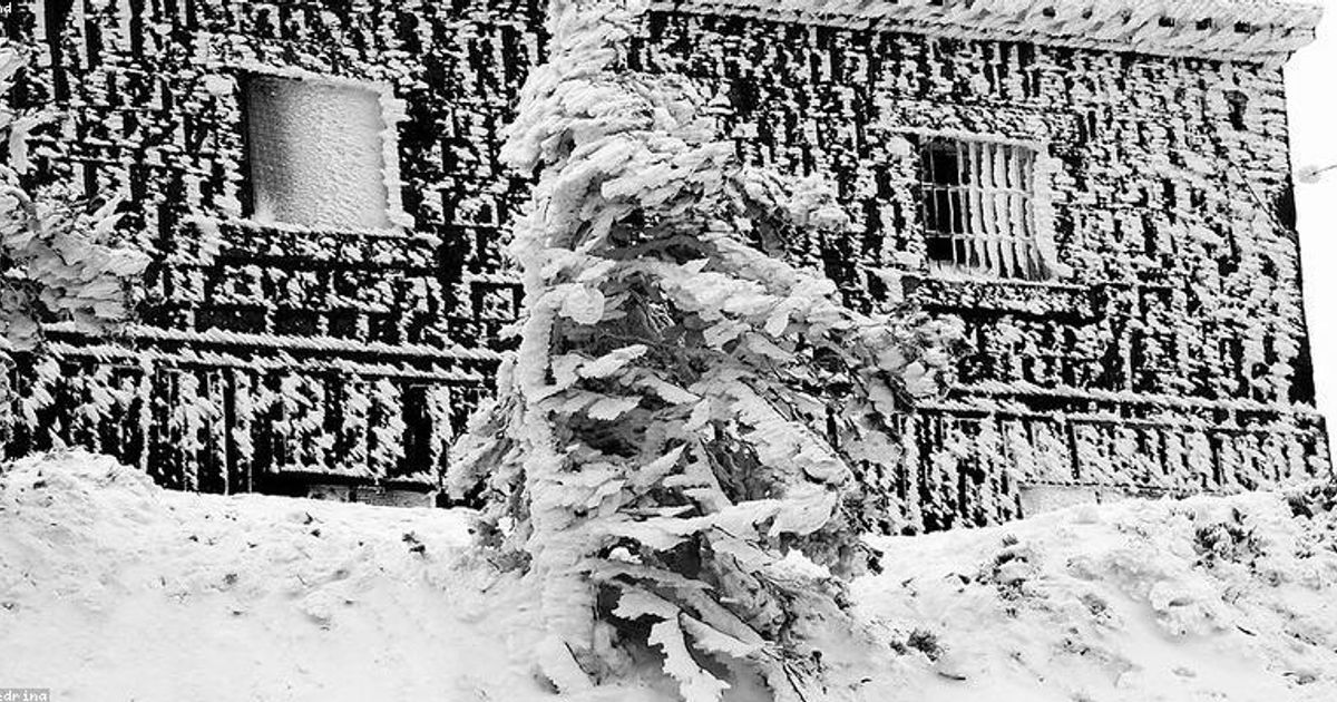 BTC Mining Difficulty Hits 2025 Low, January Rise Forecast