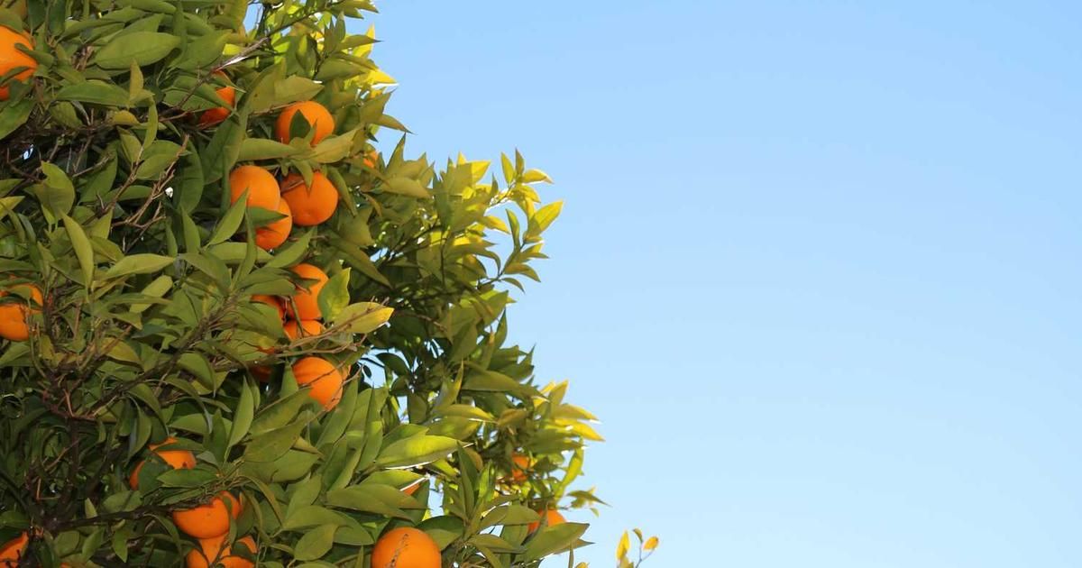 Tom Lee: Bitcoin New Highs Soon, S&P 500 to 7,700 by 2026