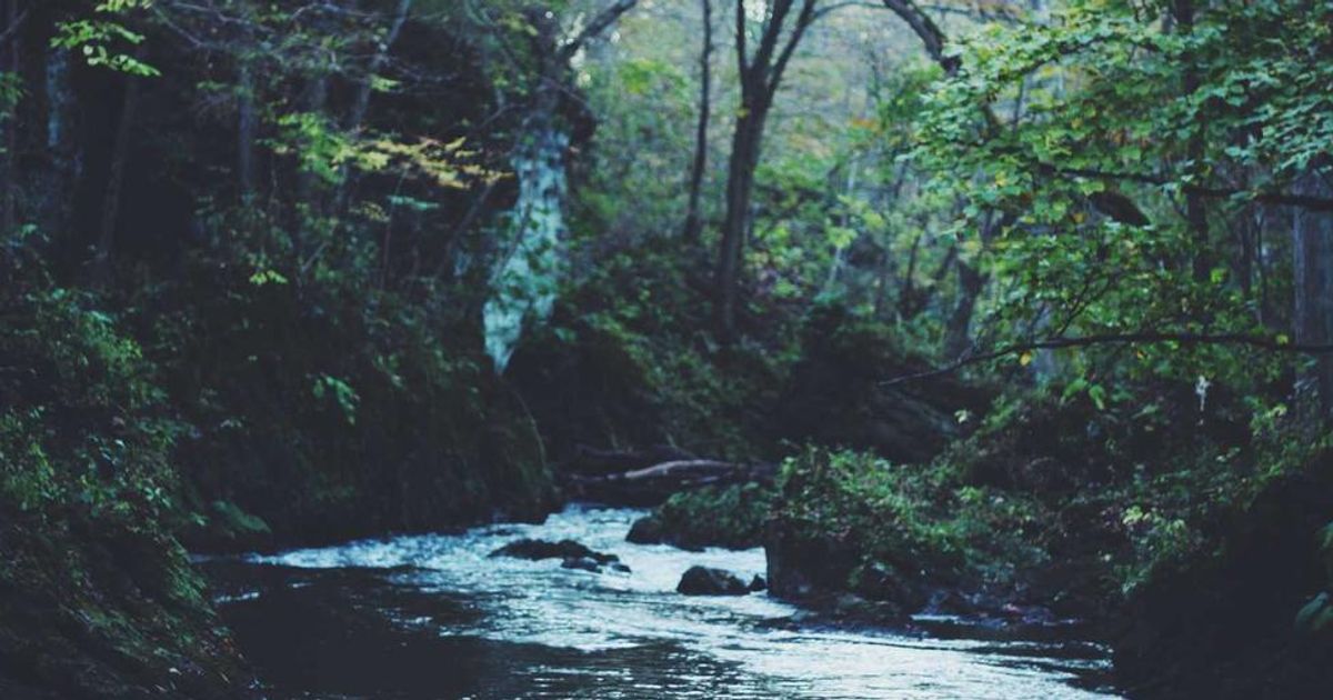 Target Stock Climbs in 2024: Why the Rally Defies a Tough Year