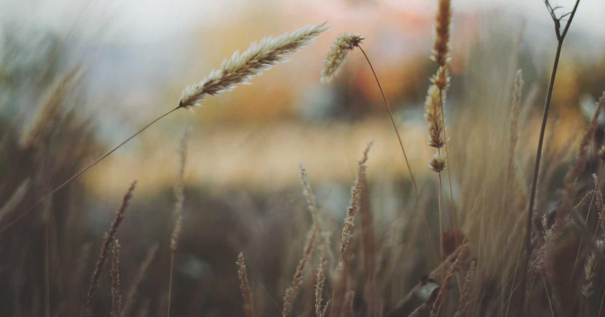 Crypto Stages Relief Rally: Is the Weekend Selloff a Buying Opportunity?