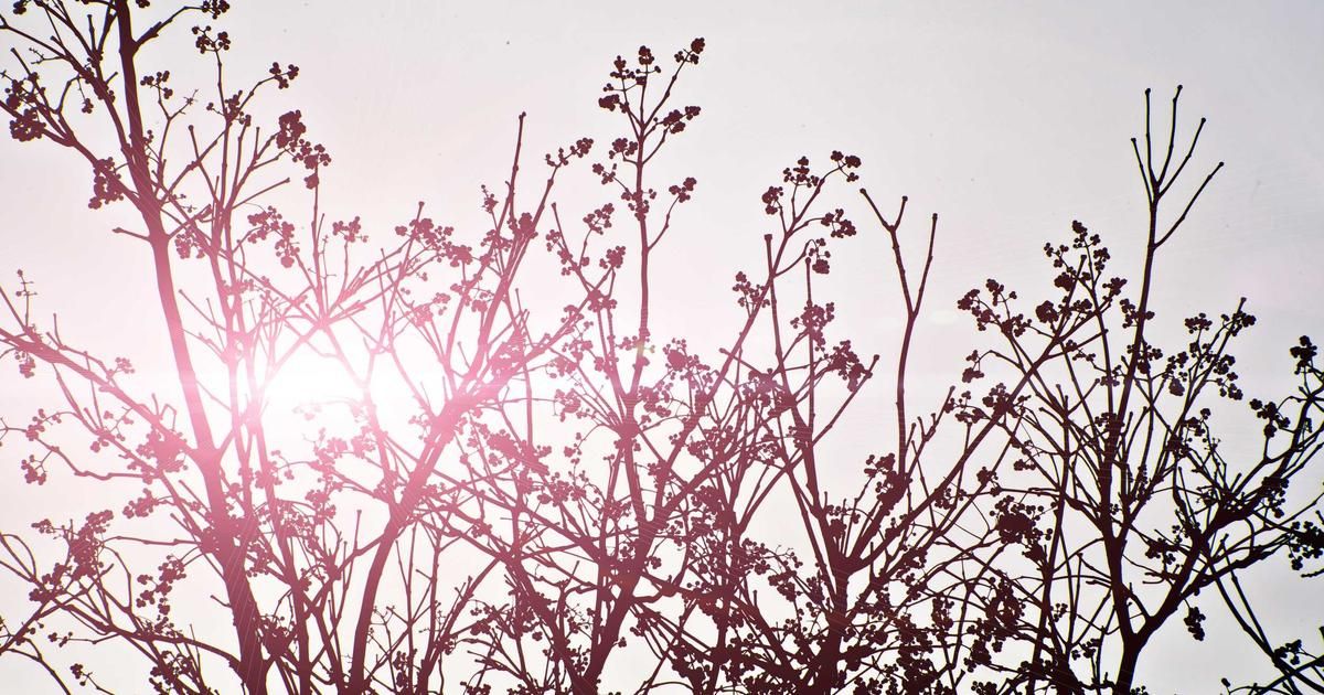 Why This $1,000 Growth Stock Play Is Gaining Traction Among Pros