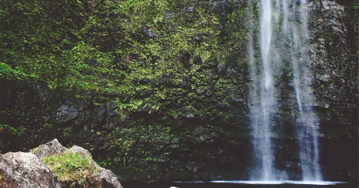 Crinetics 2024: Paltusotine & Atumelnant Data Call Analysis