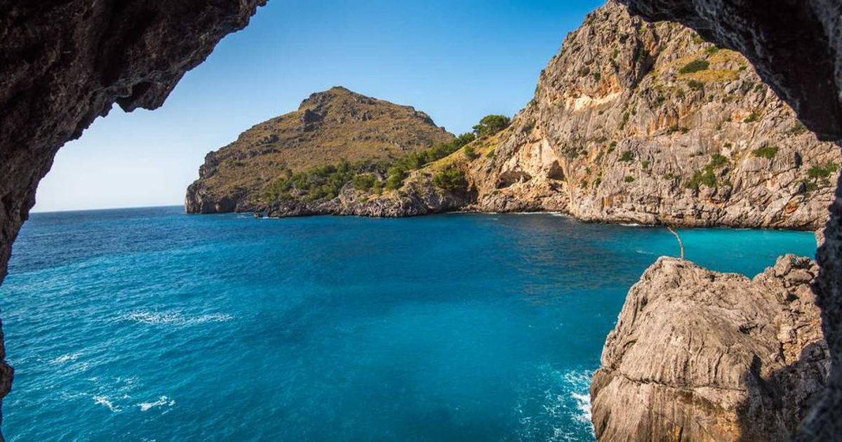 Cintas Bids for UniFirst: What Cramer's Take Means for Traders (2024)