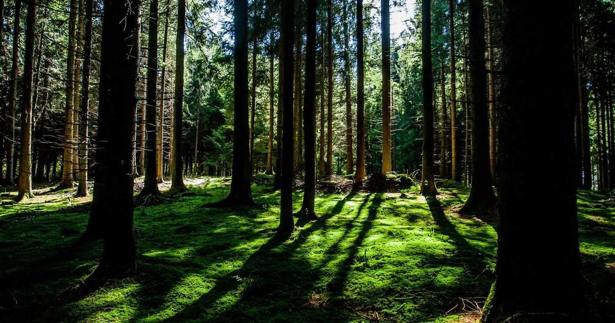 Trump's Venezuela Statement: Market Impact & Trader Strategy 2024