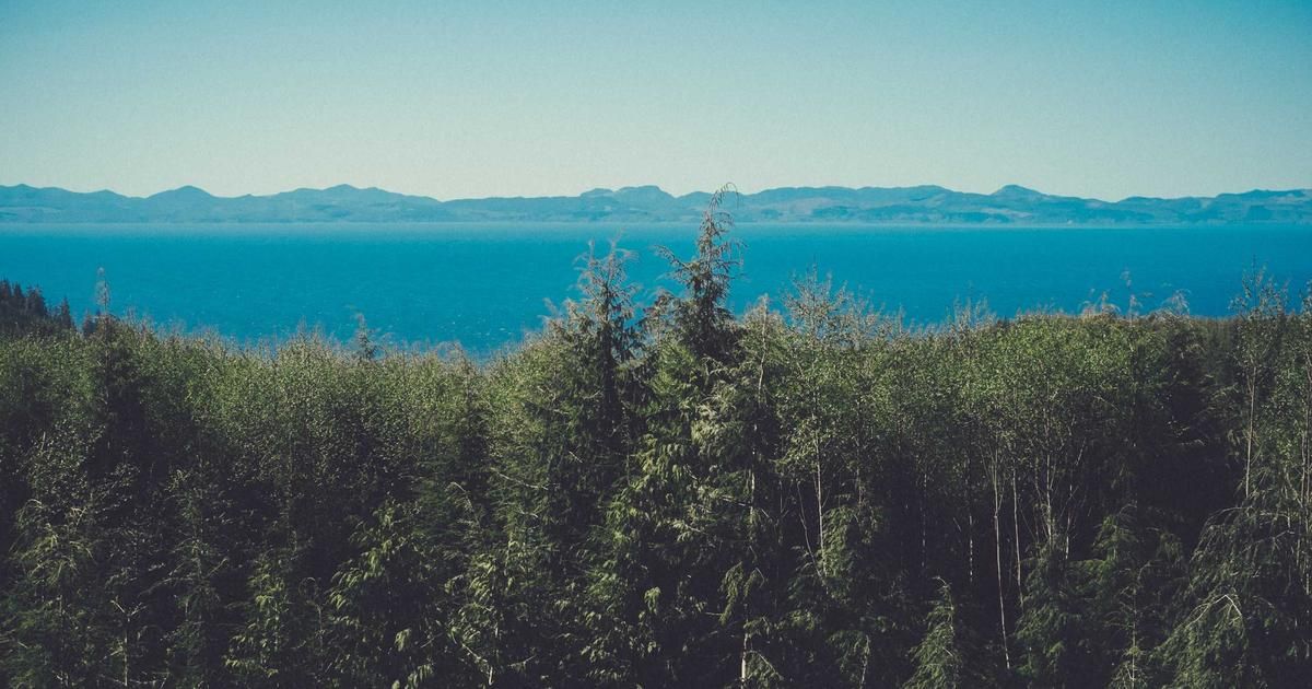 Money Market Rates Hit 4.1% as Fed Signals Pause, Sparking Cash Rush