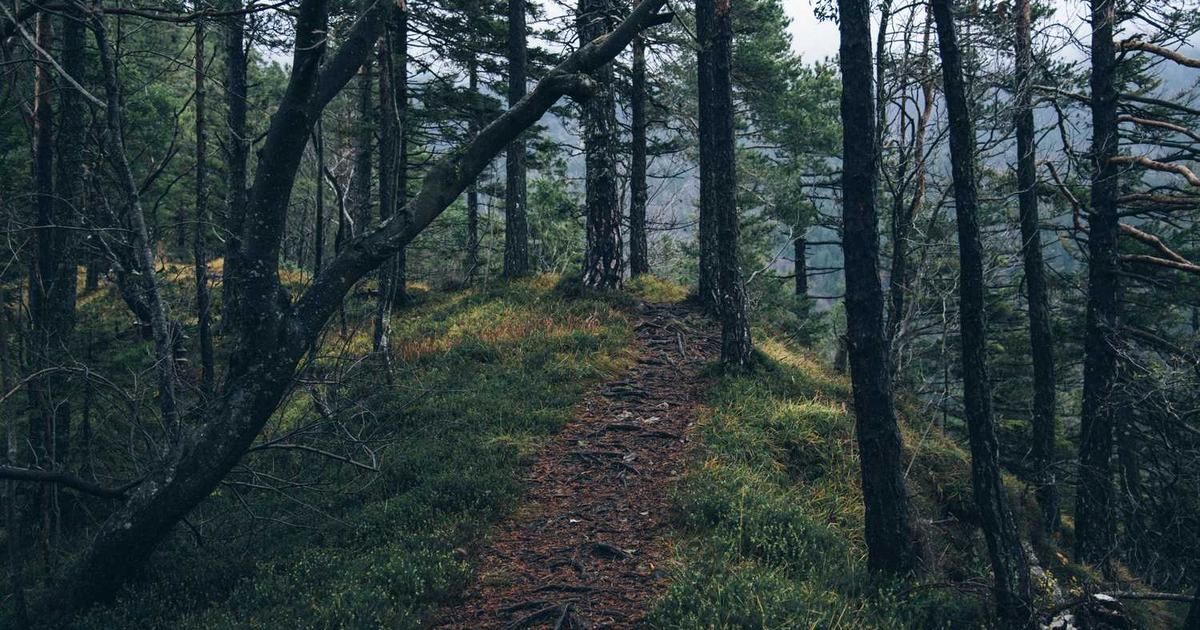 Wall Street Closes 2025 Lower in Thin Trade, Caps Stellar Year