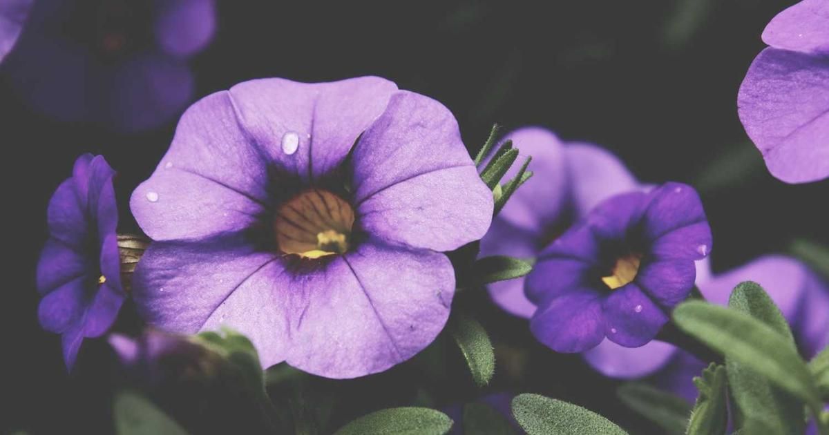 Stock Futures Slip Ahead of Bank Earnings & Inflation Data 2024