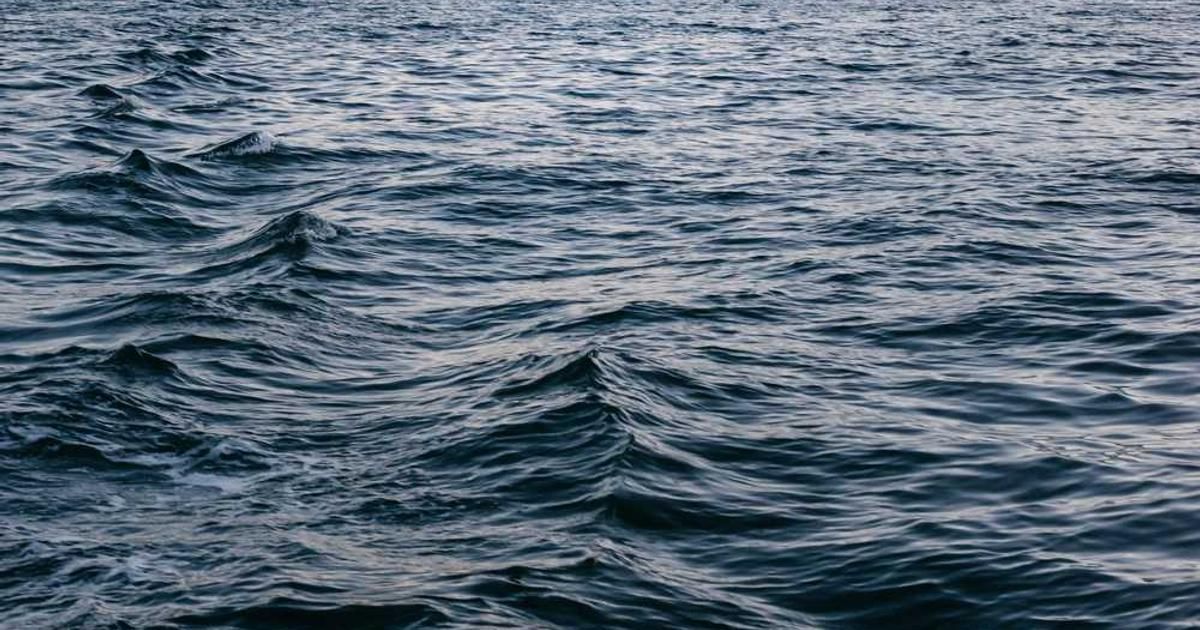 Sui (SUI) Surges 18% Daily: Is a New ATH Imminent in 2024?