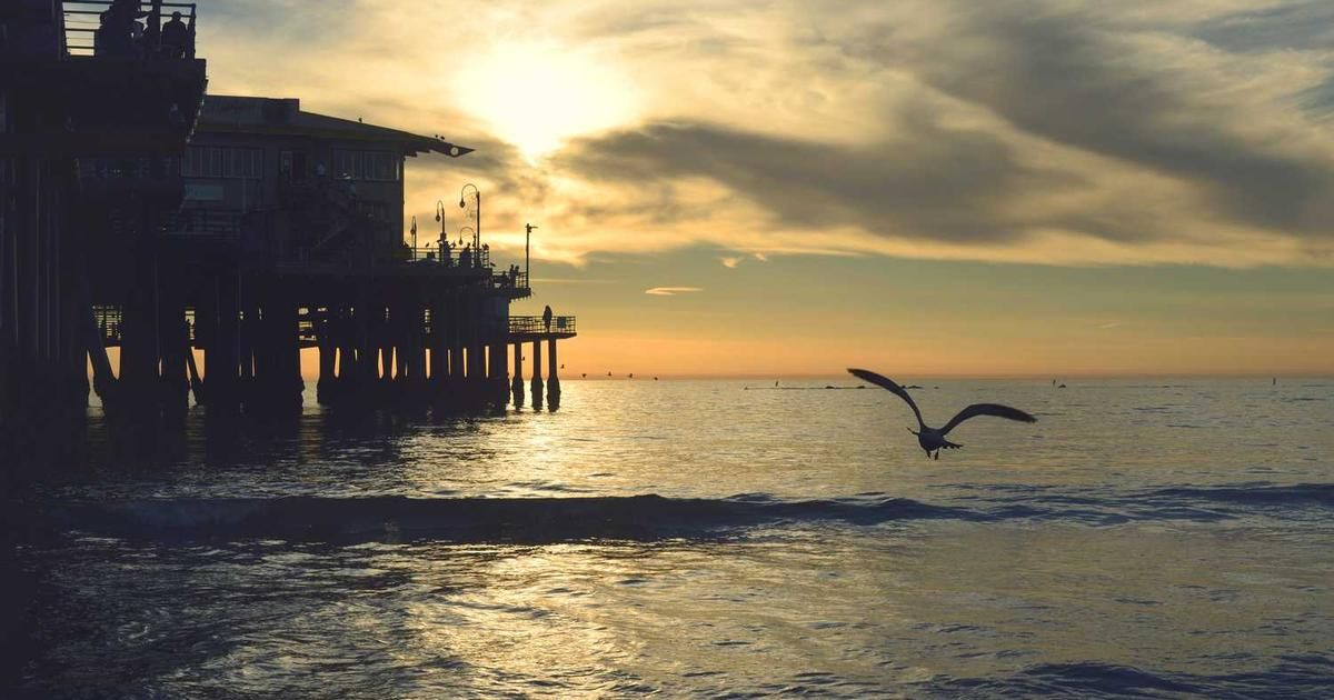 Jack Smith's Trump Testimony: Market Volatility Implications 2024