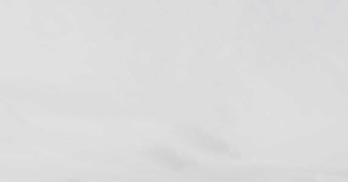 BARK Inc. Turns Corner: Free Cash Flow Positive as Efficiency Drive Pays Off