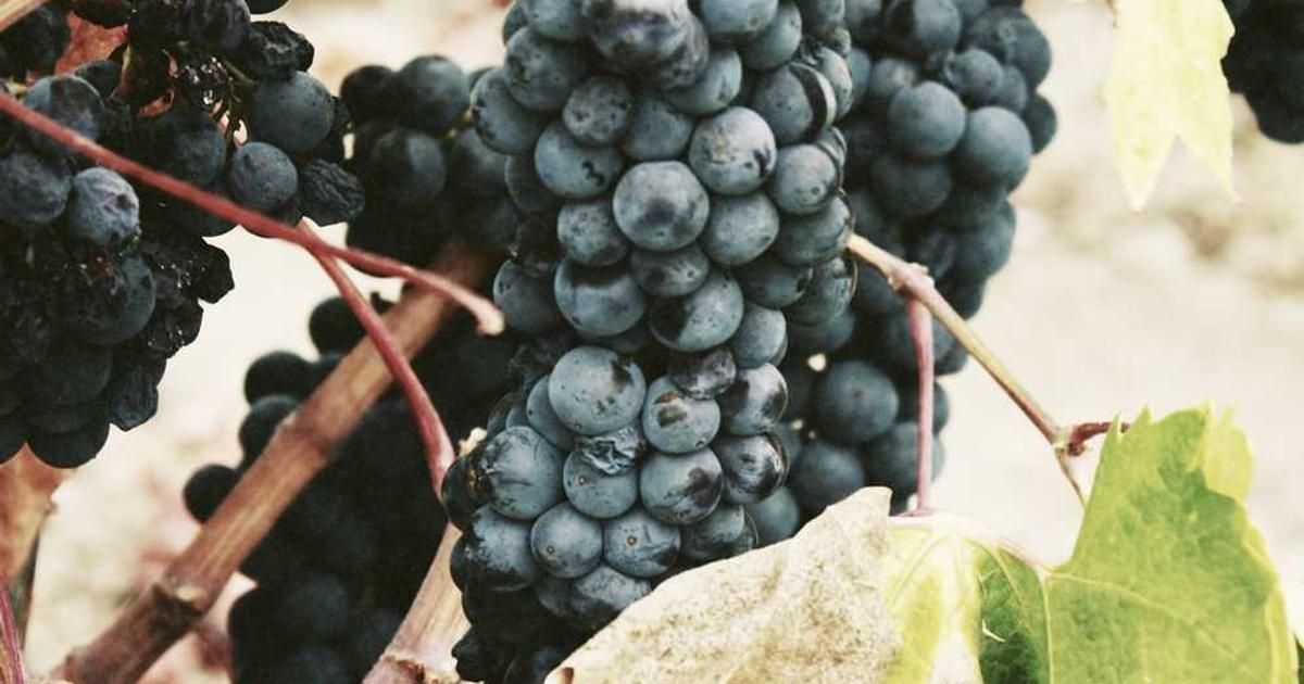 Hut 8 Finishes 2025 Strong Despite Bitcoin Mining Headwinds