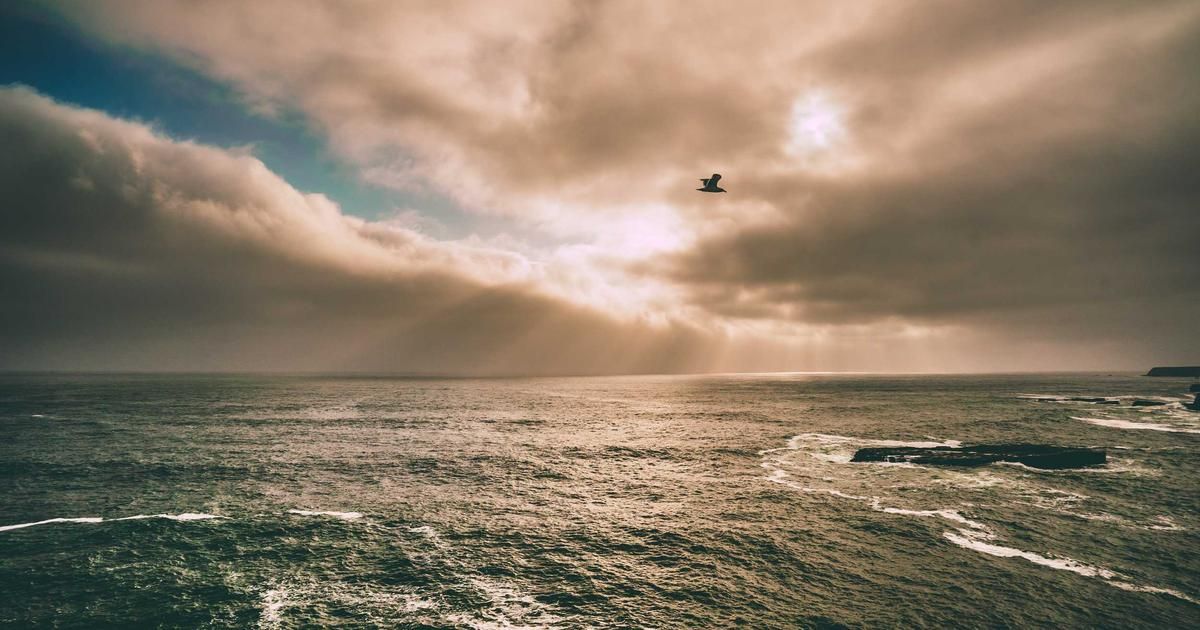 India-US Trade Deal: Harley Wins, Tesla Loses in Strategic Tariff Shift