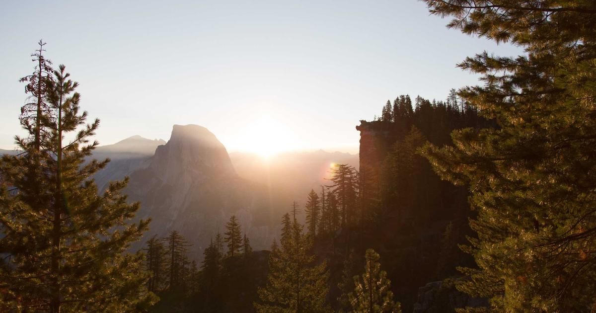 Bitcoin ETF Holders Show Unusual Resolve as $85B Stays Put Despite Rout