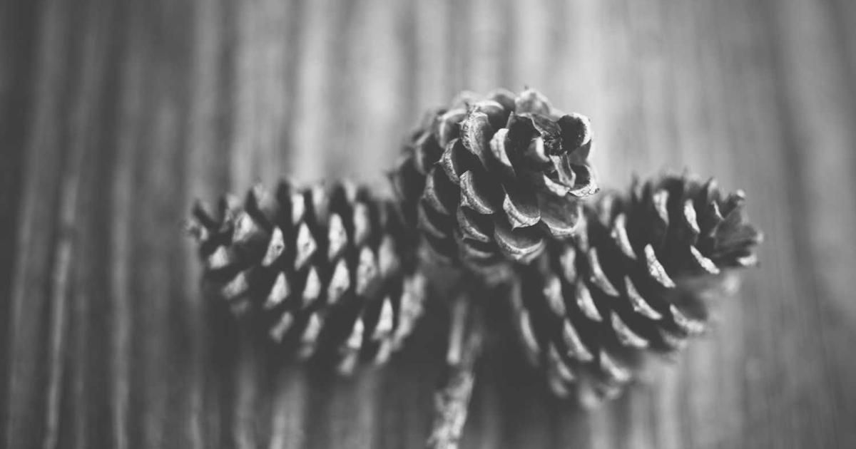 Russia's Oil Pivot East in 2024: China Buys More, India Pulls Back