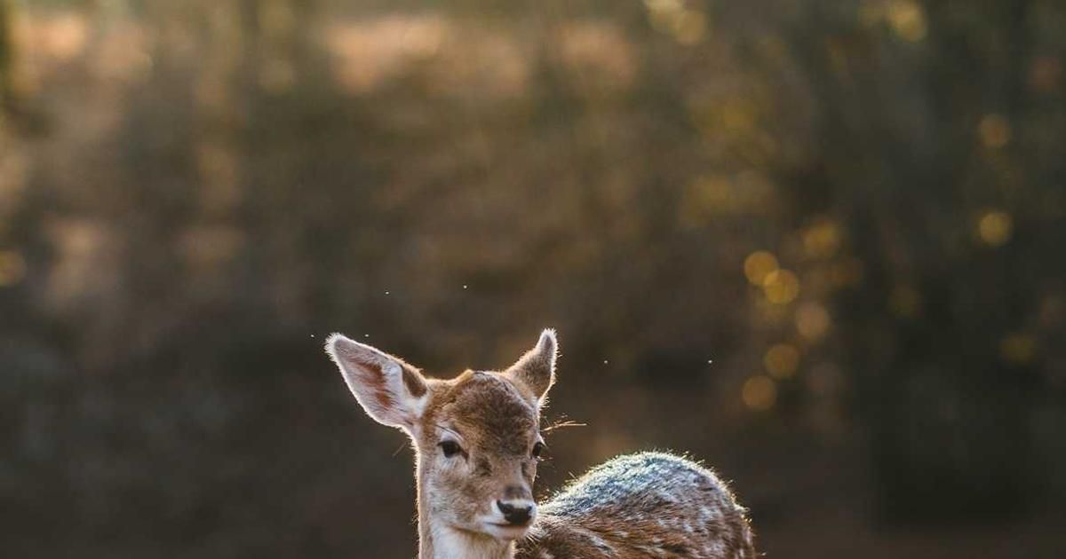 Crypto Tax Crackdown Begins: What New Enforcement Means for Investors