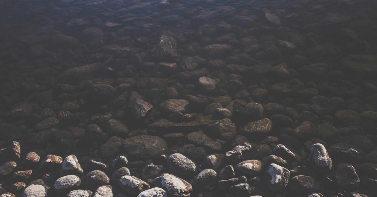 Mizuho Cuts Evolus Target to $15: What's Behind the Aesthetic Stock's Guidance Reset?