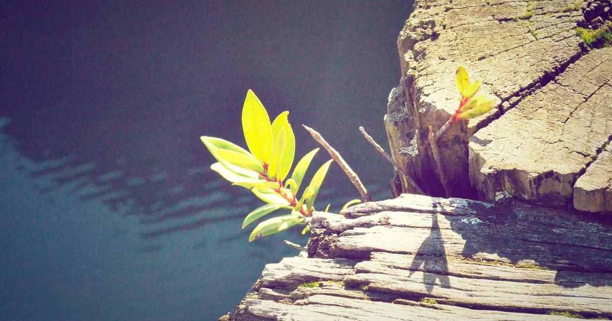 Mixed US Stocks Start 2026: S&P 500, Nasdaq, Dow Outlook