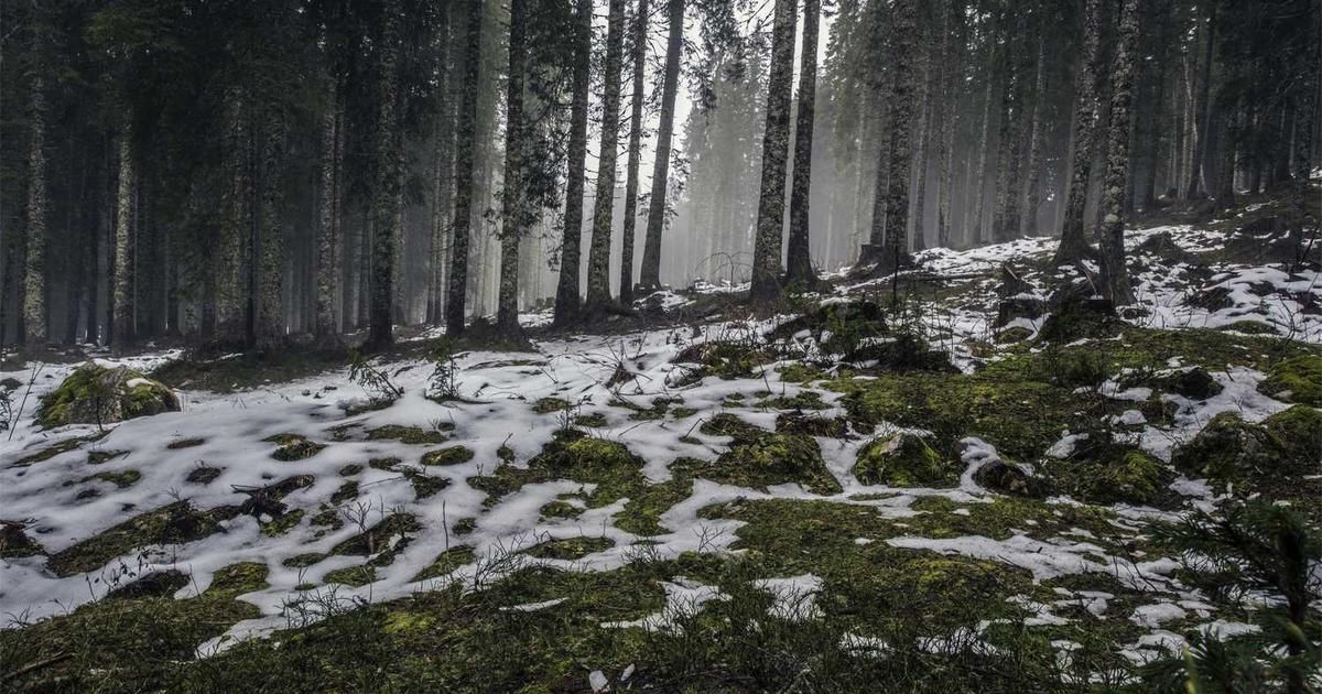 Prosperity Bancshares Merger with American Bank: 2024 Trader Impact