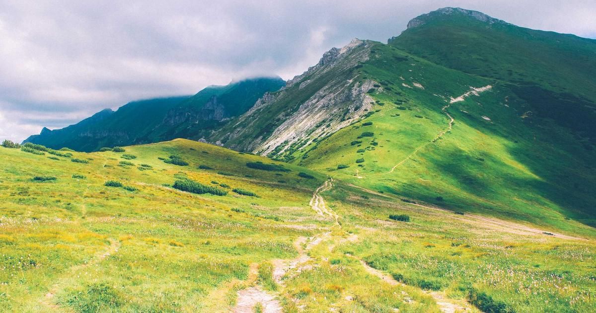 Investing.com's Top Picks: A Deep Dive Into the Week's Market Movers