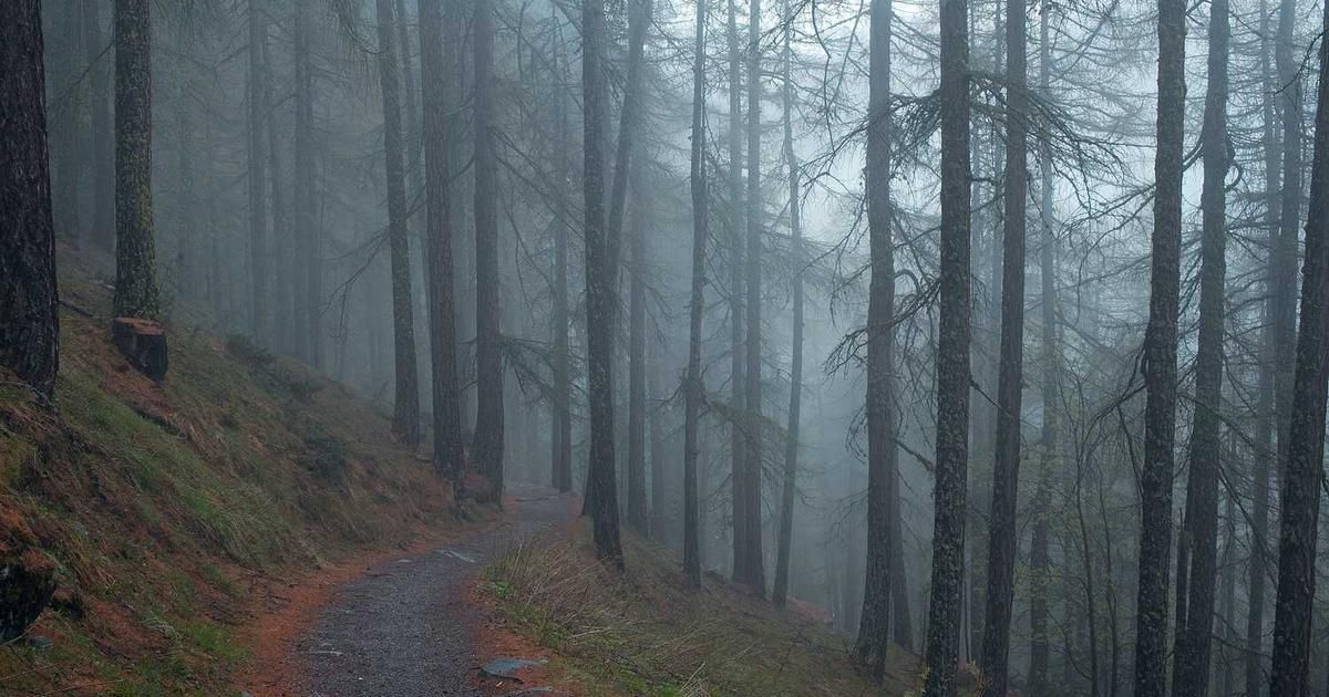 Polygon's $125M Coinme Buy: A Strategic Play for 2024