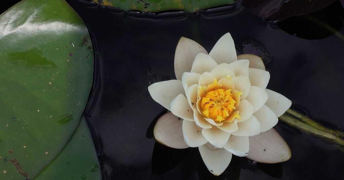 Filecoin Surges 6% in 2024, Defying Crypto Market Volatility