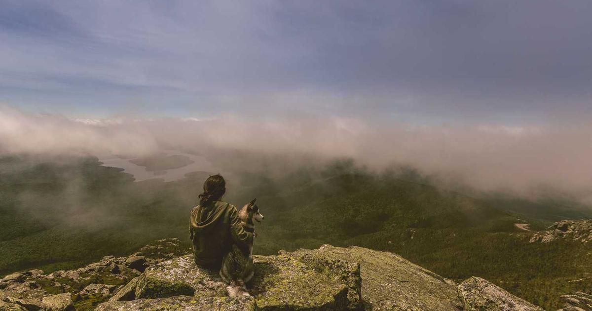 Asian Shares Mixed in Thin Year-End Trading 2024