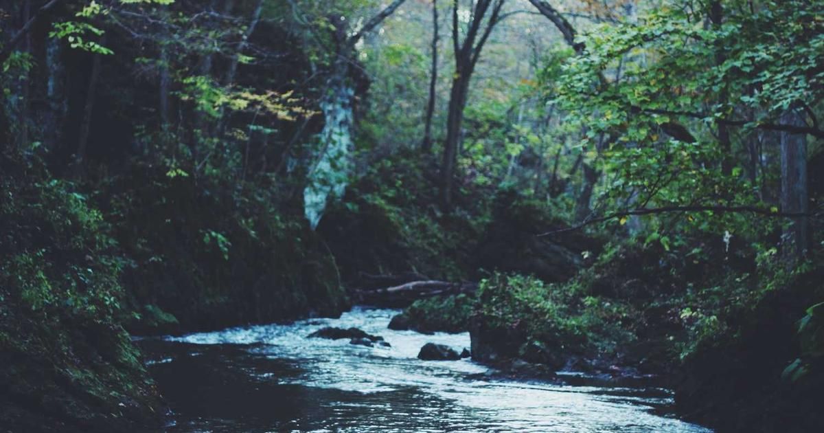 Toobit Copy Trading 2024: Custom Leverage & Profit Sharing