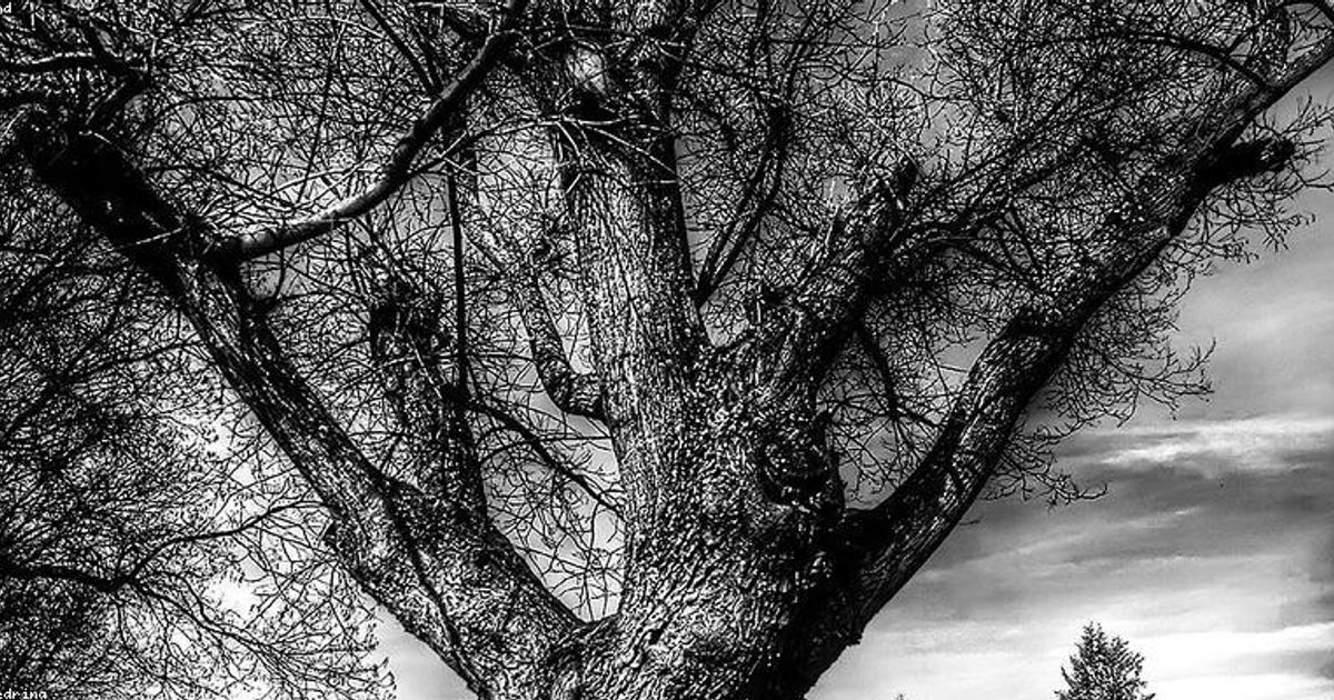 PVH Stock Down 21% Post-Q3 2025, Why Analysts Stay Bullish